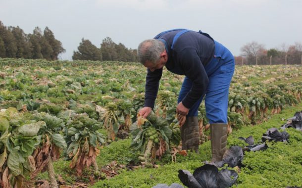 Avrupa’dan güzel haber:  Pestisitlere dayalı tarım sistemi değişecek