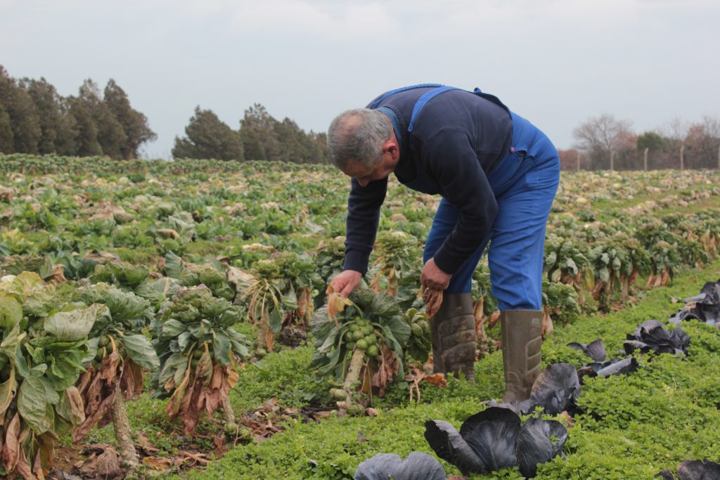 Avrupa’dan güzel haber:  Pestisitlere dayalı tarım sistemi değişecek