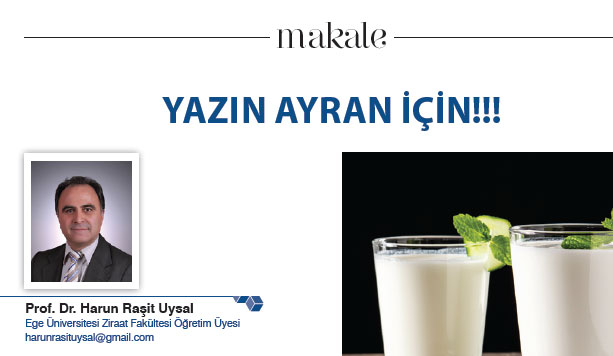 YAZIN AYRAN İÇİN!!!