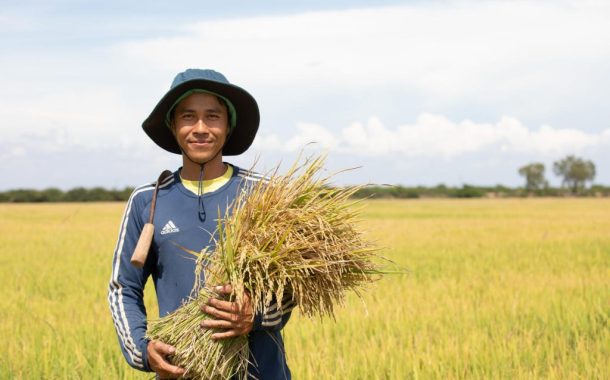 FAO Gıda Fiyat Endeksi Eylül ayında yükseldi