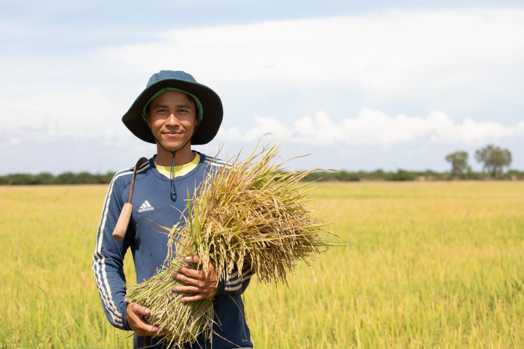 FAO Gıda Fiyat Endeksi Eylül ayında yükseldi