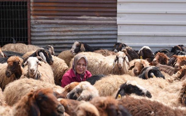 Kırsalda Hayata Dönüş Projesinin Kapanış Toplantısı Gerçekleştirildi