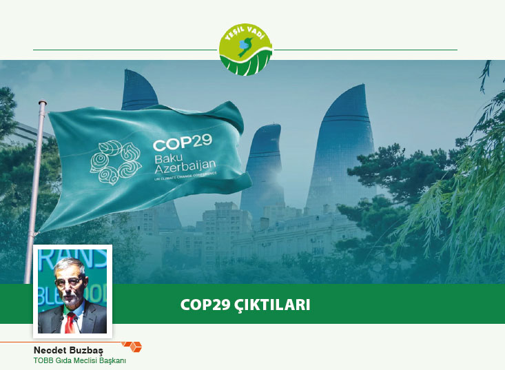 COP29 ÇIKTILARI