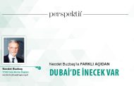 DUBAİ’DE İNECEK VAR