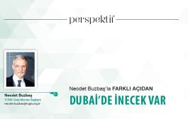 DUBAİ’DE İNECEK VAR